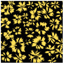 Black and Yellow Flowers. Photo Cut Outs