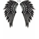 Black Angel Wings Tee Shirt