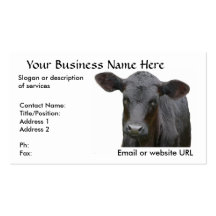 Black Angus Beef Cow Business Card Templates