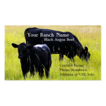 Black Angus Cattle Grazing in Field Business Card Templates