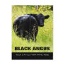 Black Angus Steer -  Add Your Cattle Ranch Name Post Cards