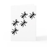 black ant trail cards