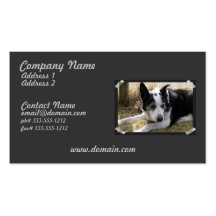 Black Australian Cattle Dog Business Card