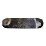 Black Bear Animal Skate Board Deck