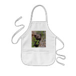 black bear aprons