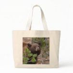 Black Bear Bag