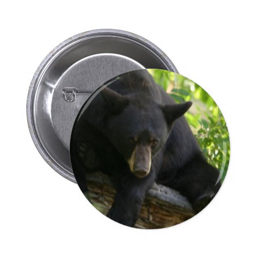 black bear button