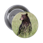 Black Bear Button