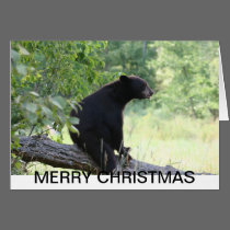 black bear christmas card cards