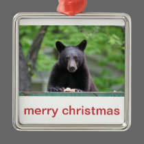 black bear christmas ornaments