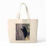 Black Bear Cub Tote Bag
