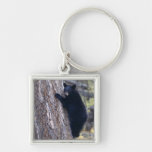 black bear cub key chain