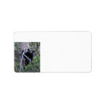 black bear cub labels