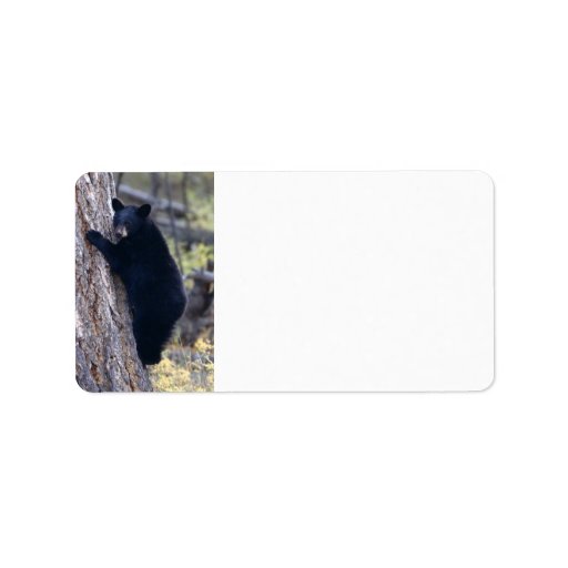 black bear cub personalized address labels