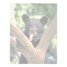 Black bear cub personalized letterhead