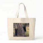 Black Bear Cubs bags