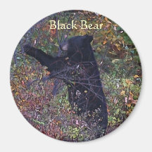 BLACK BEAR Forest Nature Magnet