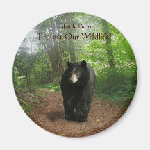BLACK BEAR Forest Nature Magnet