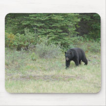 Black Bear in Canada Mouse Pads