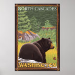 Black Bear in Forest - North Cascades, Washington Print