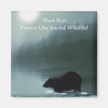 BLACK BEAR & Moonlight Nature Magnet