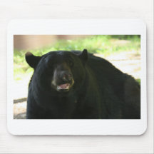 black bear mouse pads