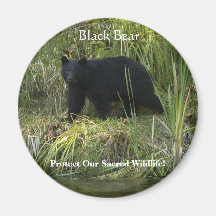 BLACK BEAR & Riverbank Nature Magnet