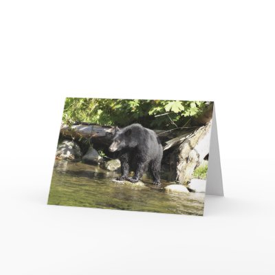 Black Bear "Salmon Spotting" Greeting Card by WILDERNESS_SHOP