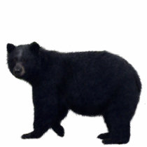 BLACK BEAR (sculpted) Wildlife Magnet Photo Cut Out