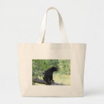 black bear sitting in tree bag