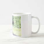black bear sitting in tree coffee mug