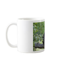 black bear sitting in tree coffee mug