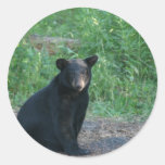 black bear stickers