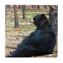 Black bear tile