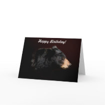 Black Bear Wildlife Birthday Card