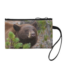 Black Bear with Blonde Colour Coin Wallet