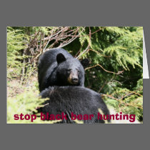 black bears 2bears 9x12, stop black bear hunting cards