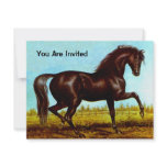 BLACK BEAUTY HORSE  BIRTHDAY PARTY INVITATION
