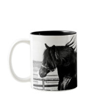 Black Beauty Horse Coffee Mugs