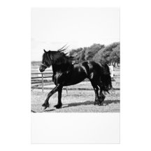 Black Beauty Horse Custom Stationery