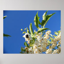 Black Bee Flower Poster