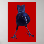 Black Bird On Red