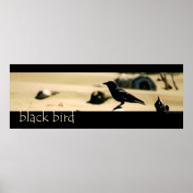 Black Bird Posters