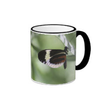Black Brown and White Butterfly Mug