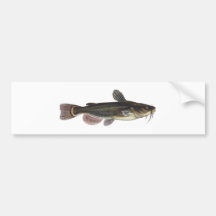 Black Bullhead Catfish Art Bumper Stickers
