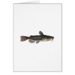 Black Bullhead Catfish Art Greeting Cards