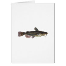 Black Bullhead Catfish Art Greeting Cards