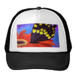 Black Butterfly Daisy Painting - Multi Trucker Hats