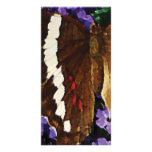 Black Butterfly on Heliotrope Photo Card Template