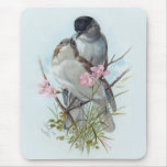 Black Cap Warblers mousepads